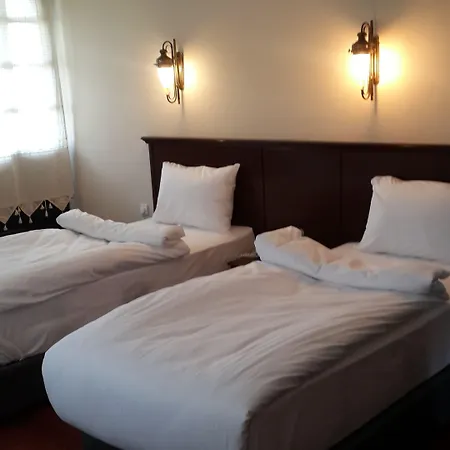 Otel Altinsaray 3*
